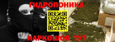 ECSTASY Кимры