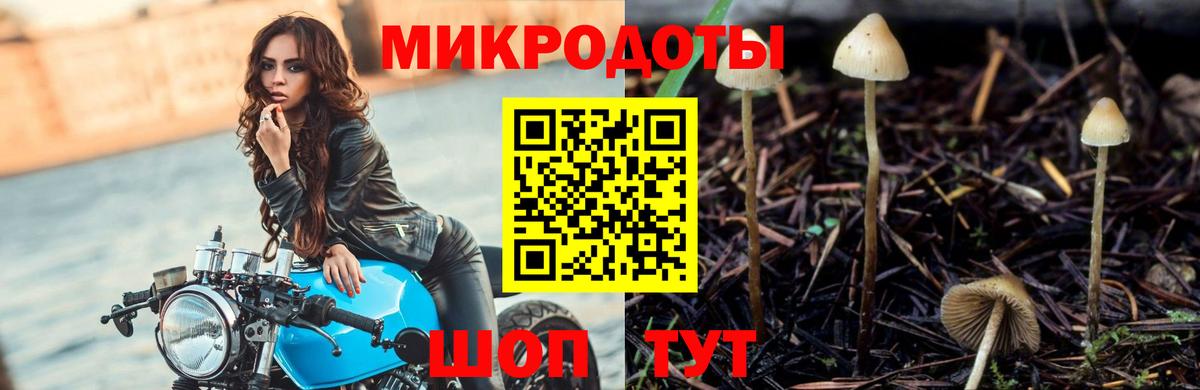 Псилоцибиновые грибы прущие грибы Краснокаменск